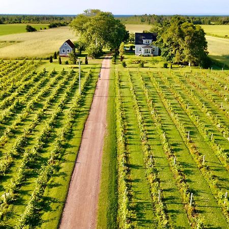 Sunbury Cove Winery Bed and Breakfast Miscouche Exteriör bild