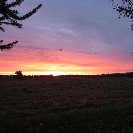 Sunbury Cove Winery Bed and Breakfast Miscouche Exteriör bild